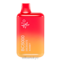ELFBAR BC5000 使い捨て電子タバコ 日没 BTDF201 - Elf Bar ニコチン