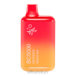 ELFBAR BC5000 使い捨て電子タバコ ビーチの日 BTDF212 - エルフバー 味