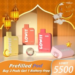 ELFBAR LOWIT 5500 充填済みポッド ブルーベリーアイス BTDF374 - エルフバー 味